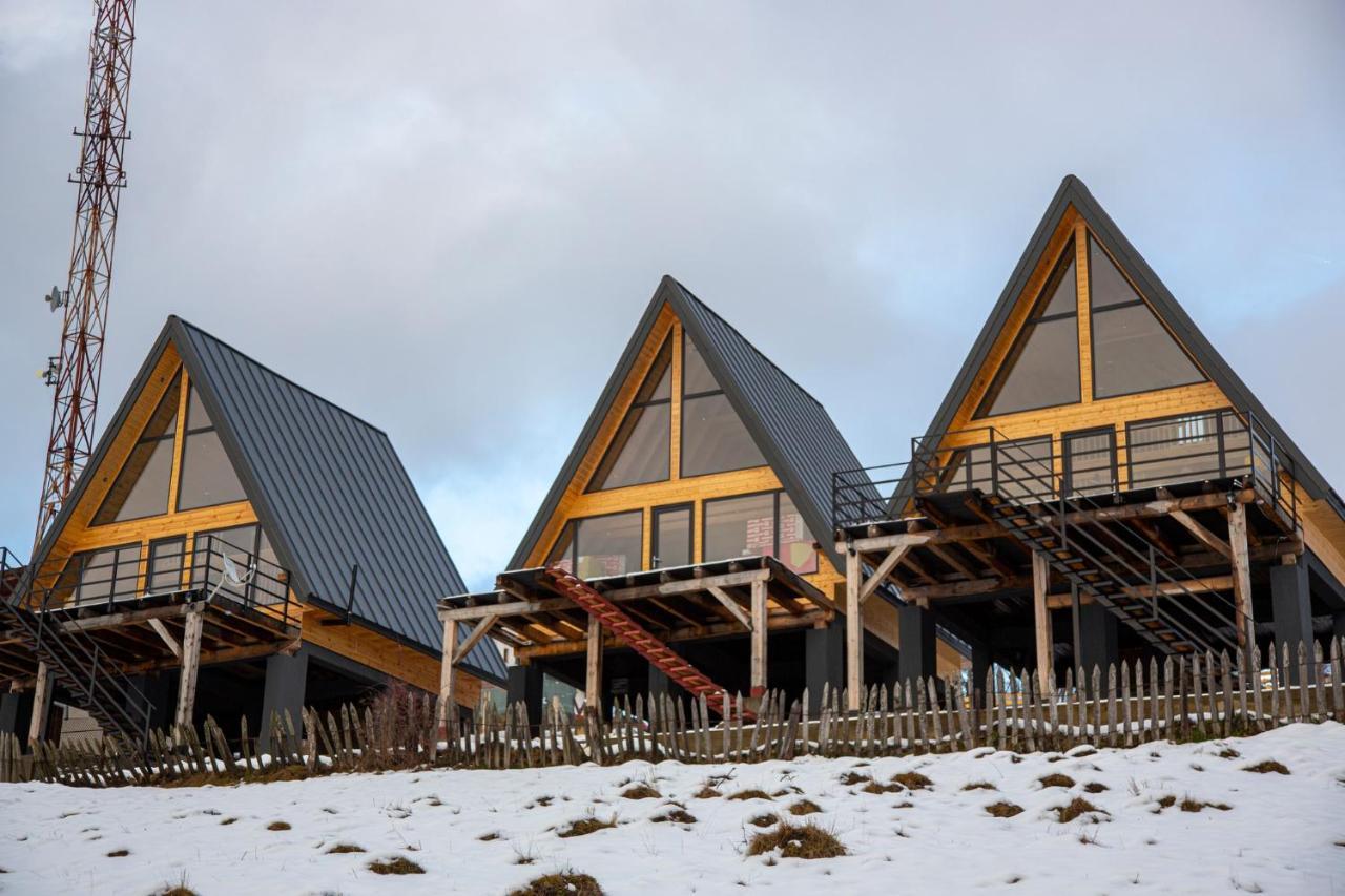 Cez A-Frame Villa Petroşani Exterior foto